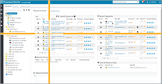 enterprise password management