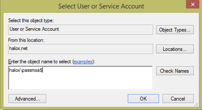 MSA Account 2