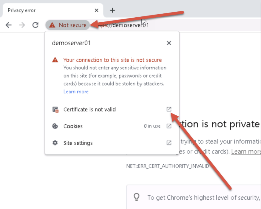 SSL Certificate 2