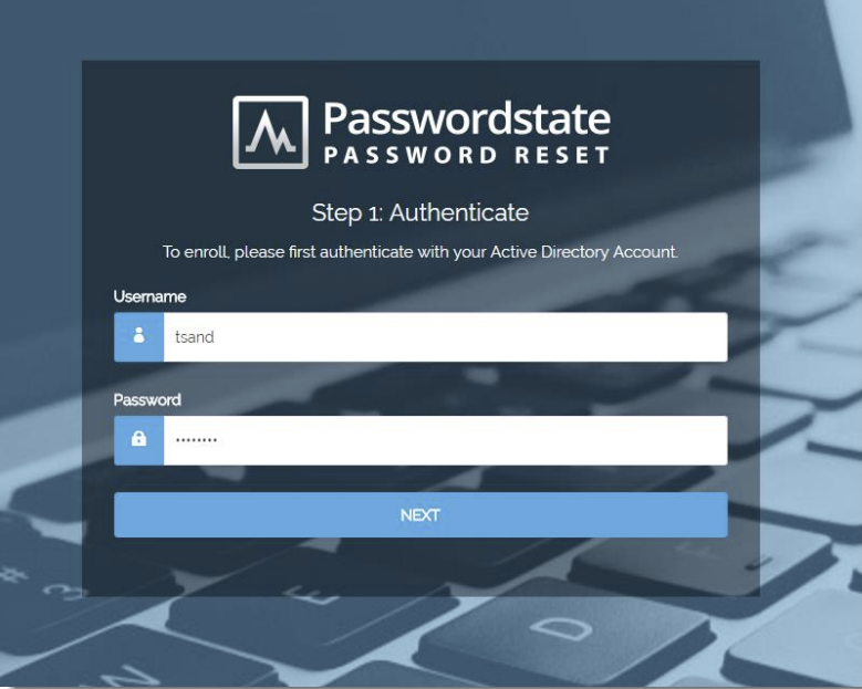 Password Reset Portal