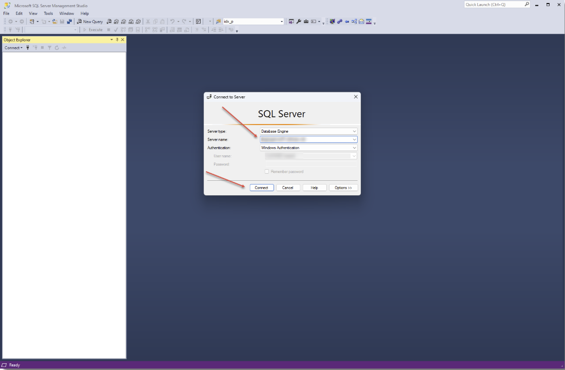 Generate Database Schema