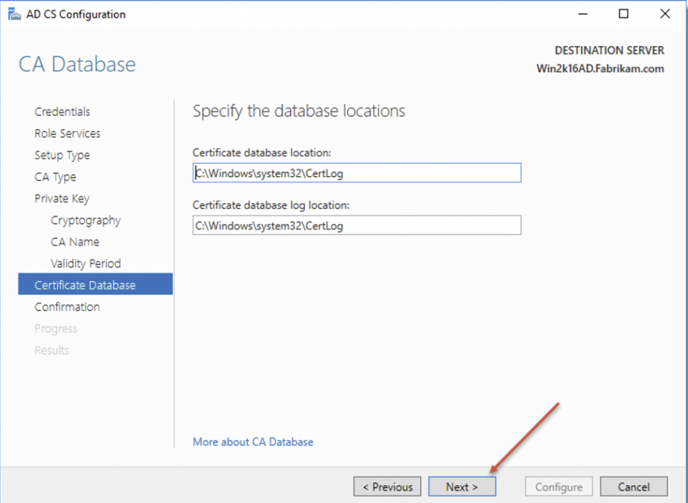 Server Manager 11